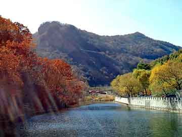 澳门天天开奖免费资料，深圳塑胶地垫